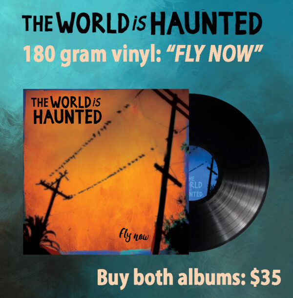 "Fly Now" 180 Gram Vinyl